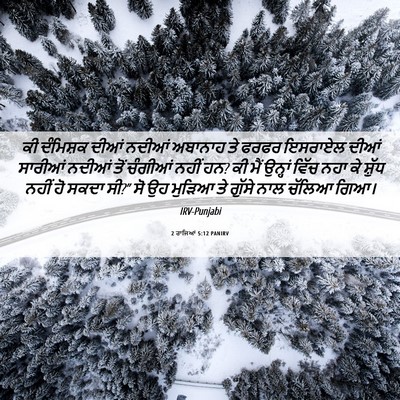 Picture 06 - 2 ਰਾਜਿਆਂ 5:12 PANIRV - ਕੀ ਦੰਮਿਸ਼ਕ ਦੀਆਂ - Bible Verse Picture