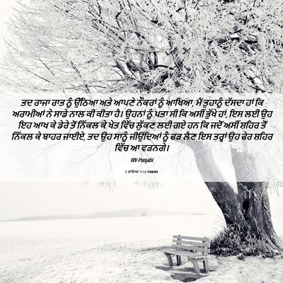 Picture 06 - 2 ਰਾਜਿਆਂ 7:12 PANIRV - ਤਦ ਰਾਜਾ ਰਾਤ ਨੂੰ - Bible Verse Picture