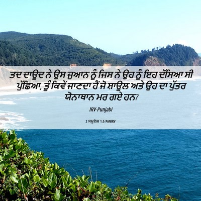 Picture 06 - 2 ਸਮੂਏਲ 1:5 PANIRV - ਤਦ ਦਾਊਦ ਨੇ ਉਸ ਜੁਆਨ - Bible Verse Picture