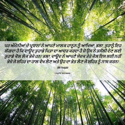 Picture 06 - 2 ਸਮੂਏਲ 10:3 PANIRV - ਪਰ ਅੰਮੋਨੀਆਂ ਦੇ - Bible Verse Picture
