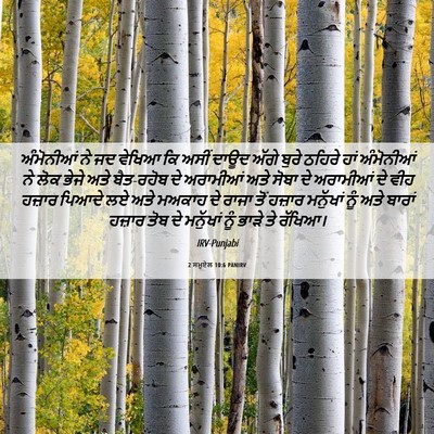 Picture 06 - 2 ਸਮੂਏਲ 10:6 PANIRV - ਅੰਮੋਨੀਆਂ ਨੇ ਜਦ - Bible Verse Picture