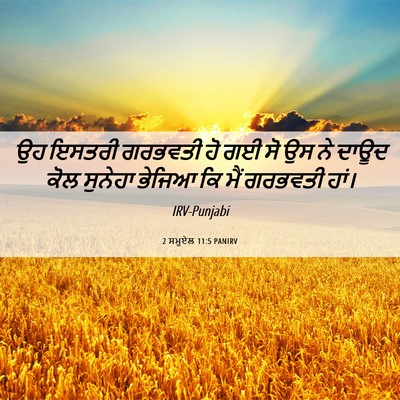 Picture 06 - 2 ਸਮੂਏਲ 11:5 PANIRV - ਉਹ ਇਸਤਰੀ ਗਰਭਵਤੀ ਹੋ - Bible Verse Picture
