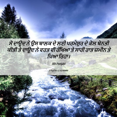 Picture 06 - 2 ਸਮੂਏਲ 12:16 PANIRV - ਸੋ ਦਾਊਦ ਨੇ ਉਸ ਬਾਲਕ - Bible Verse Picture