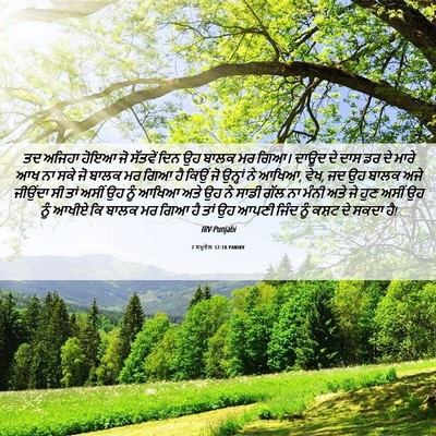 Picture 06 - 2 ਸਮੂਏਲ 12:18 PANIRV - ਤਦ ਅਜਿਹਾ ਹੋਇਆ ਜੋ - Bible Verse Picture