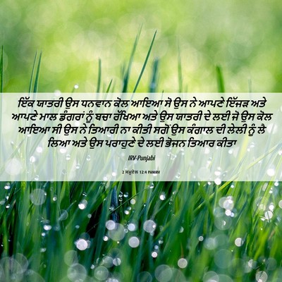 Picture 06 - 2 ਸਮੂਏਲ 12:4 PANIRV - ਇੱਕ ਯਾਤਰੀ ਉਸ ਧਨਵਾਨ - Bible Verse Picture