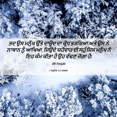 Picture 06 - 2 ਸਮੂਏਲ 12:5 PANIRV - ਤਦ ਉਸ ਮਨੁੱਖ ਉੱਤੇ - Bible Verse Picture