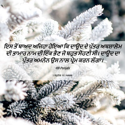 Picture 06 - 2 ਸਮੂਏਲ 13:1 PANIRV - ਇਸ ਤੋਂ ਬਾਅਦ ਅਜਿਹਾ - Bible Verse Picture