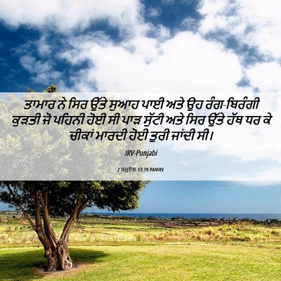 Picture 06 - 2 ਸਮੂਏਲ 13:19 PANIRV - ਤਾਮਾਰ ਨੇ ਸਿਰ ਉੱਤੇ - Bible Verse Picture