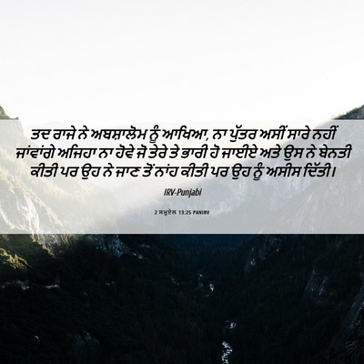 Picture 06 - 2 ਸਮੂਏਲ 13:25 PANIRV - ਤਦ ਰਾਜੇ ਨੇ - Bible Verse Picture