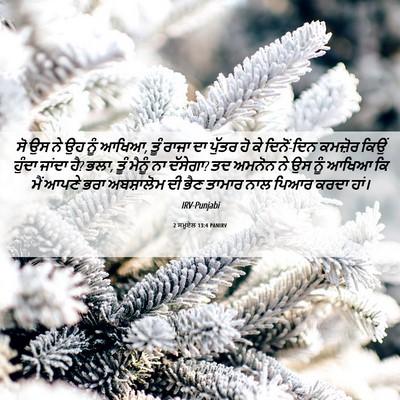 Picture 06 - 2 ਸਮੂਏਲ 13:4 PANIRV - ਸੋ ਉਸ ਨੇ ਉਹ ਨੂੰ - Bible Verse Picture