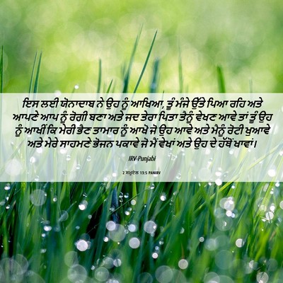 Picture 06 - 2 ਸਮੂਏਲ 13:5 PANIRV - ਇਸ ਲਈ ਯੋਨਾਦਾਬ ਨੇ ਉਹ - Bible Verse Picture