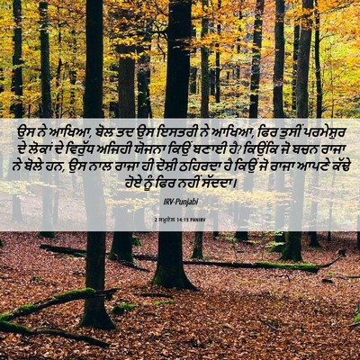 Picture 06 - 2 ਸਮੂਏਲ 14:13 PANIRV - ਉਸ ਨੇ ਆਖਿਆ, ਬੋਲ ਤਦ - Bible Verse Picture