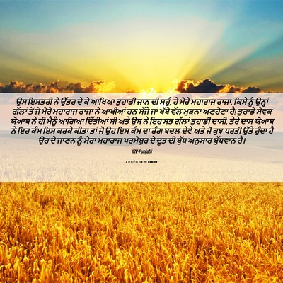 Picture 06 - 2 ਸਮੂਏਲ 14:20 PANIRV - ਉਸ ਇਸਤਰੀ ਨੇ ਉੱਤਰ ਦੇ - Bible Verse Picture