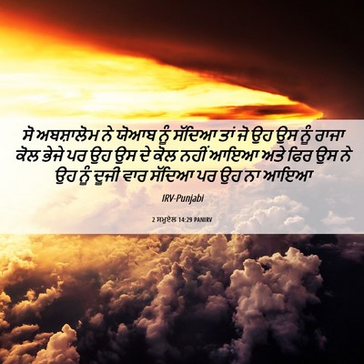 Picture 06 - 2 ਸਮੂਏਲ 14:29 PANIRV - ਸੋ ਅਬਸ਼ਾਲੋਮ ਨੇ - Bible Verse Picture