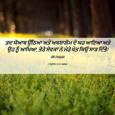Picture 06 - 2 ਸਮੂਏਲ 14:31 PANIRV - ਤਦ ਯੋਆਬ ਉੱਠਿਆ ਅਤੇ - Bible Verse Picture