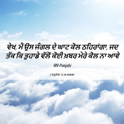 Picture 06 - 2 ਸਮੂਏਲ 15:28 PANIRV - ਵੇਖ, ਮੈਂ ਉਸ ਜੰਗਲ ਦੇ - Bible Verse Picture
