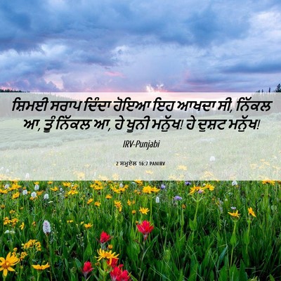 Picture 06 - 2 ਸਮੂਏਲ 16:7 PANIRV - ਸ਼ਿਮਈ ਸਰਾਪ ਦਿੰਦਾ - Bible Verse Picture