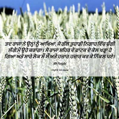 Picture 06 - 2 ਸਮੂਏਲ 18:4 PANIRV - ਤਦ ਰਾਜਾ ਨੇ ਉਨ੍ਹਾਂ - Bible Verse Picture