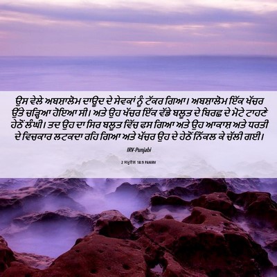 Picture 06 - 2 ਸਮੂਏਲ 18:9 PANIRV - ਉਸ ਵੇਲੇ ਅਬਸ਼ਾਲੋਮ - Bible Verse Picture