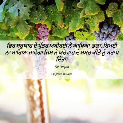 Picture 06 - 2 ਸਮੂਏਲ 19:21 PANIRV - ਫਿਰ ਸਰੂਯਾਹ ਦੇ - Bible Verse Picture