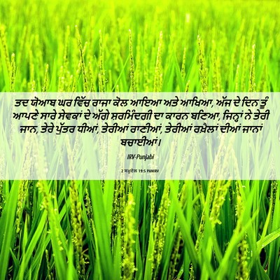Picture 06 - 2 ਸਮੂਏਲ 19:5 PANIRV - ਤਦ ਯੋਆਬ ਘਰ ਵਿੱਚ - Bible Verse Picture