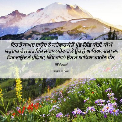 Picture 06 - 2 ਸਮੂਏਲ 2:1 PANIRV - ਇਹ ਤੋਂ ਬਾਅਦ ਦਾਊਦ ਨੇ - Bible Verse Picture