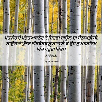 Picture 06 - 2 ਸਮੂਏਲ 2:8 PANIRV - ਪਰ ਨੇਰ ਦੇ ਪੁੱਤਰ - Bible Verse Picture
