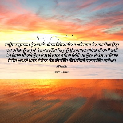 Picture 06 - 2 ਸਮੂਏਲ 20:3 PANIRV - ਦਾਊਦ ਯਰੂਸ਼ਲਮ ਨੂੰ - Bible Verse Picture