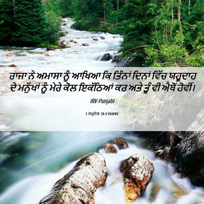 Picture 06 - 2 ਸਮੂਏਲ 20:4 PANIRV - ਰਾਜਾ ਨੇ ਅਮਾਸਾ ਨੂੰ - Bible Verse Picture