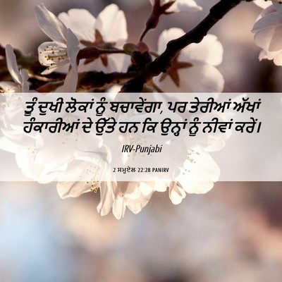 Picture 06 - 2 ਸਮੂਏਲ 22:28 PANIRV - ਤੂੰ ਦੁਖੀ ਲੋਕਾਂ ਨੂੰ - Bible Verse Picture