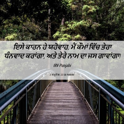 Picture 06 - 2 ਸਮੂਏਲ 22:50 PANIRV - ਇਸੇ ਕਾਰਨ ਹੇ ਯਹੋਵਾਹ, - Bible Verse Picture