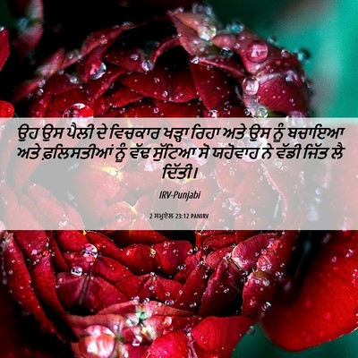 Picture 06 - 2 ਸਮੂਏਲ 23:12 PANIRV - ਉਹ ਉਸ ਪੈਲੀ ਦੇ - Bible Verse Picture
