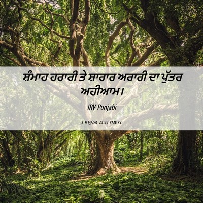 Picture 06 - 2 ਸਮੂਏਲ 23:33 PANIRV - ਸ਼ੰਮਾਹ ਹਰਾਰੀ ਤੇ - Bible Verse Picture