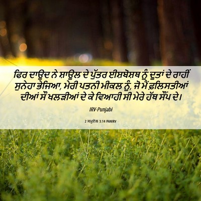 Picture 06 - 2 ਸਮੂਏਲ 3:14 PANIRV - ਫਿਰ ਦਾਊਦ ਨੇ ਸ਼ਾਊਲ - Bible Verse Picture