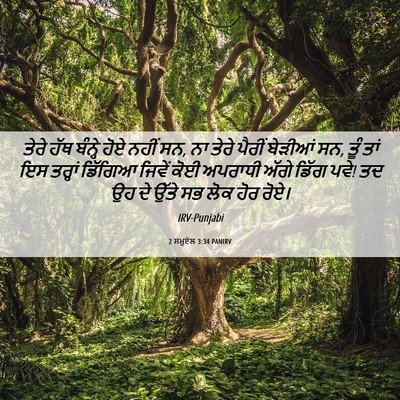 Picture 06 - 2 ਸਮੂਏਲ 3:34 PANIRV - ਤੇਰੇ ਹੱਥ ਬੰਨ੍ਹੇ - Bible Verse Picture