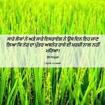 Picture 06 - 2 ਸਮੂਏਲ 3:37 PANIRV - ਸਾਰੇ ਲੋਕਾਂ ਨੇ ਅਤੇ - Bible Verse Picture