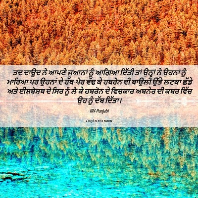 Picture 06 - 2 ਸਮੂਏਲ 4:12 PANIRV - ਤਦ ਦਾਊਦ ਨੇ ਆਪਣੇ - Bible Verse Picture