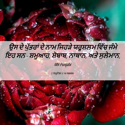 Picture 06 - 2 ਸਮੂਏਲ 5:14 PANIRV - ਉਸ ਦੇ ਪੁੱਤਰਾਂ ਦੇ - Bible Verse Picture