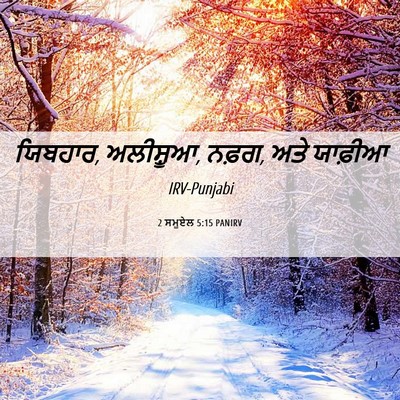 Picture 06 - 2 ਸਮੂਏਲ 5:15 PANIRV - ਯਿਬਹਾਰ, ਅਲੀਸ਼ੂਆ, - Bible Verse Picture