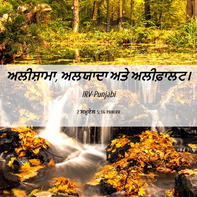 Picture 06 - 2 ਸਮੂਏਲ 5:16 PANIRV - ਅਲੀਸ਼ਾਮਾ, ਅਲਯਾਦਾ - Bible Verse Picture