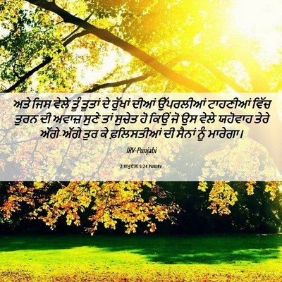 Picture 06 - 2 ਸਮੂਏਲ 5:24 PANIRV - ਅਤੇ ਜਿਸ ਵੇਲੇ ਤੂੰ - Bible Verse Picture