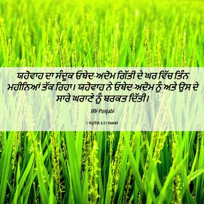 Picture 06 - 2 ਸਮੂਏਲ 6:11 PANIRV - ਯਹੋਵਾਹ ਦਾ ਸੰਦੂਕ - Bible Verse Picture