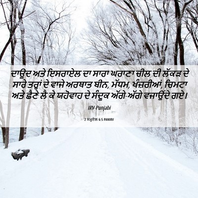 Picture 06 - 2 ਸਮੂਏਲ 6:5 PANIRV - ਦਾਊਦ ਅਤੇ ਇਸਰਾਏਲ ਦਾ - Bible Verse Picture
