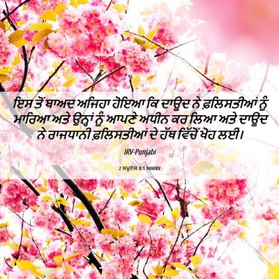 Picture 06 - 2 ਸਮੂਏਲ 8:1 PANIRV - ਇਸ ਤੋਂ ਬਾਅਦ ਅਜਿਹਾ - Bible Verse Picture
