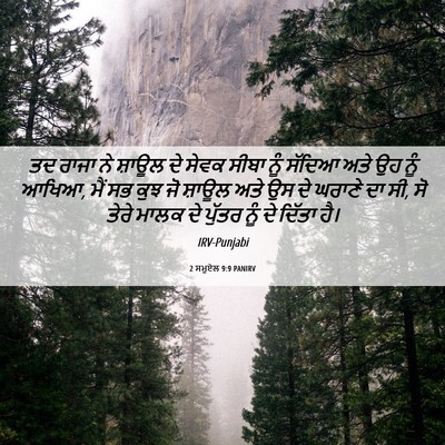 Picture 06 - 2 ਸਮੂਏਲ 9:9 PANIRV - ਤਦ ਰਾਜਾ ਨੇ ਸ਼ਾਊਲ ਦੇ - Bible Verse Picture