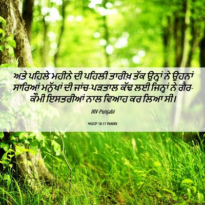 Picture 06 - ਅਜ਼ਰਾ 10:17 PANIRV - ਅਤੇ ਪਹਿਲੇ ਮਹੀਨੇ ਦੀ - Bible Verse Picture