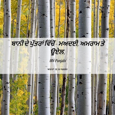 Picture 06 - ਅਜ਼ਰਾ 10:34 PANIRV - ਬਾਨੀ ਦੇ ਪੁੱਤਰਾਂ - Bible Verse Picture