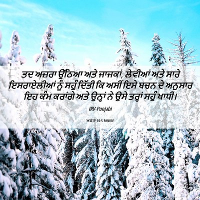 Picture 06 - ਅਜ਼ਰਾ 10:5 PANIRV - ਤਦ ਅਜ਼ਰਾ ਉੱਠਿਆ ਅਤੇ - Bible Verse Picture