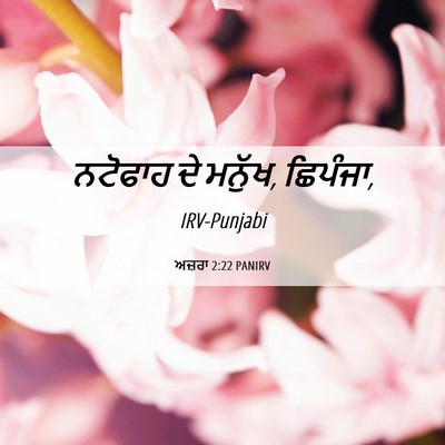 Picture 06 - ਅਜ਼ਰਾ 2:22 PANIRV - ਨਟੋਫਾਹ ਦੇ ਮਨੁੱਖ, - Bible Verse Picture