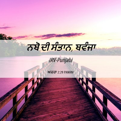 Picture 06 - ਅਜ਼ਰਾ 2:29 PANIRV - ਨਬੋ ਦੀ ਸੰਤਾਨ, - Bible Verse Picture